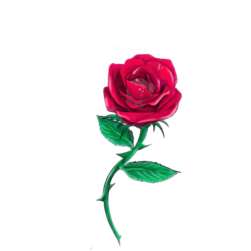 Red Rose Pic Drawing