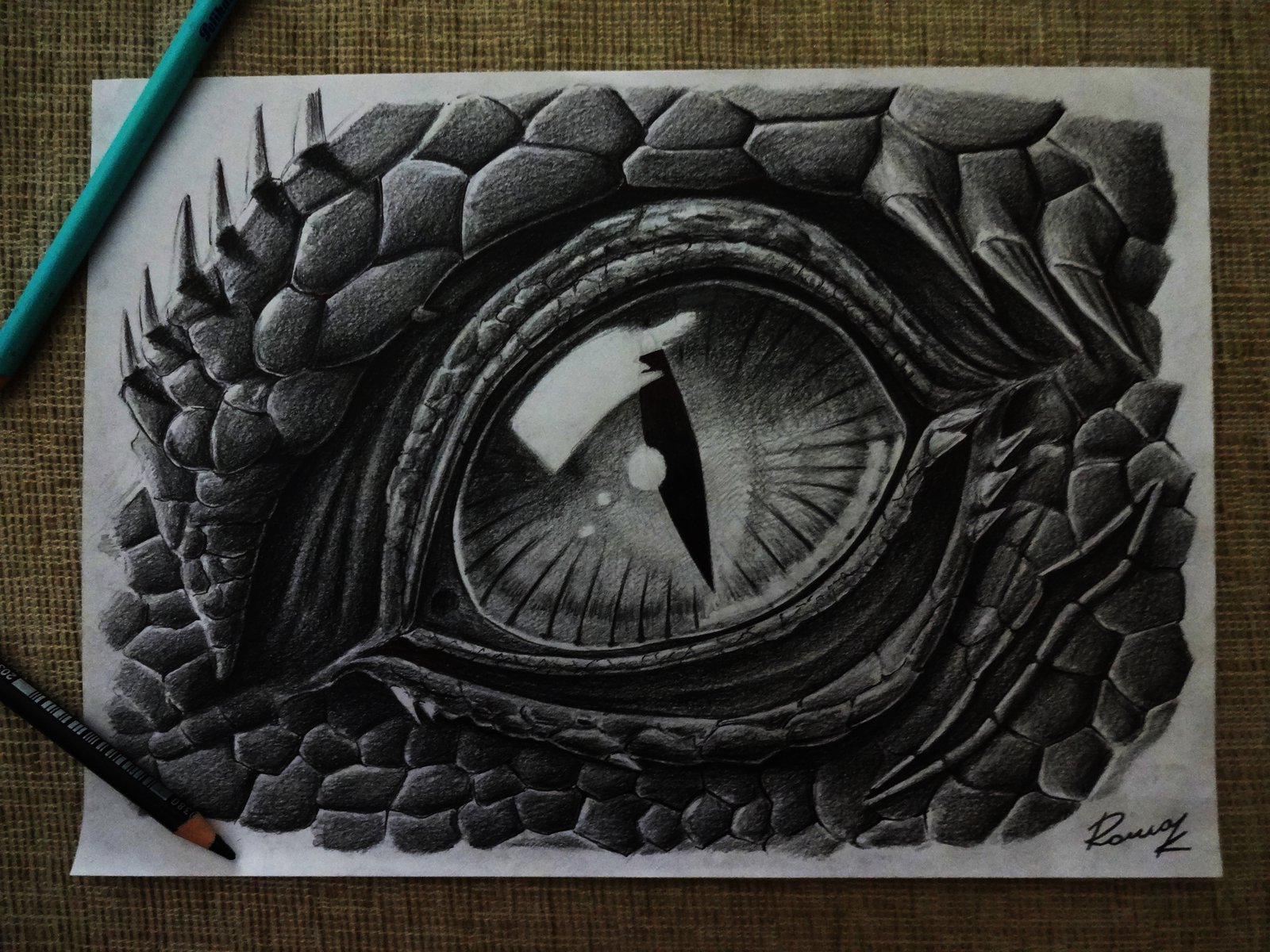 Reptile Beautiful Image Drawing