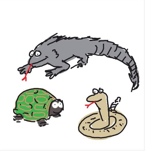 Reptile Image Drawing