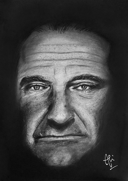Robin Williams Drawing Image