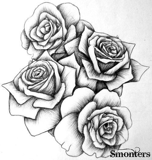 Rose Amazing Drawing