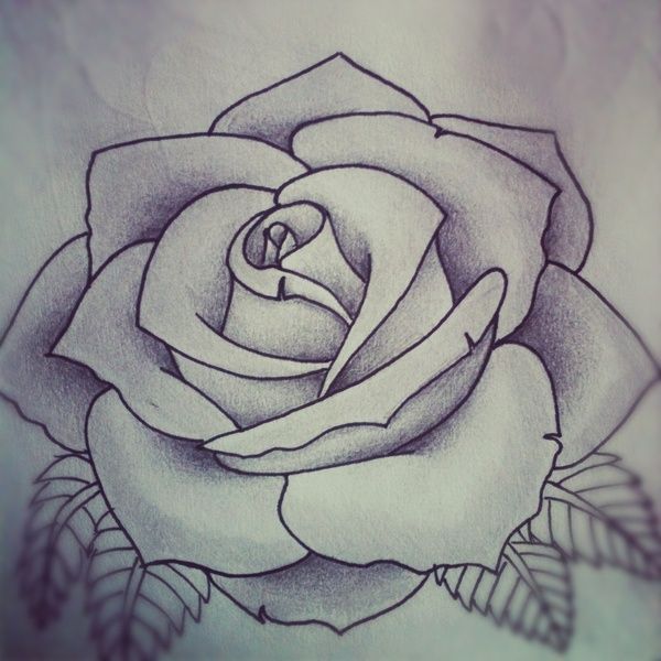 Rose Image Drawing