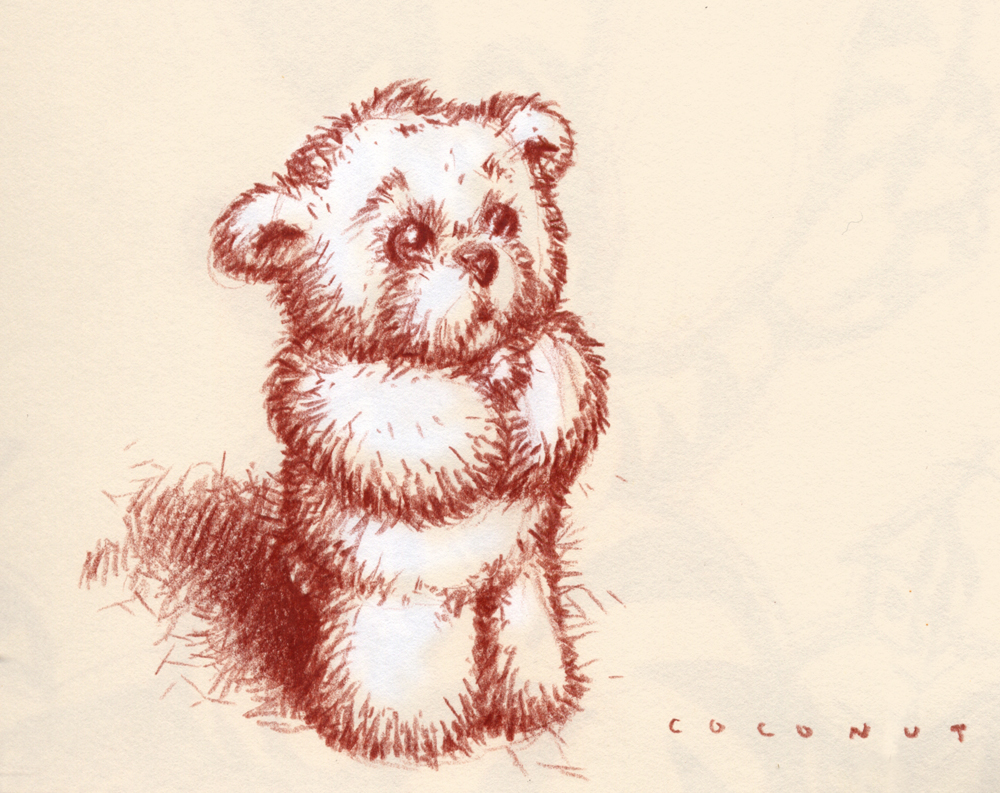 Sad Teddy Bear Photo Drawing