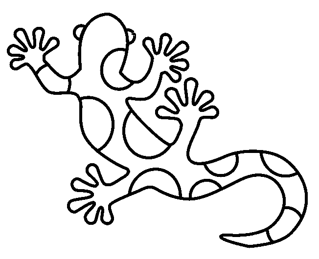 Salamander Image Drawing