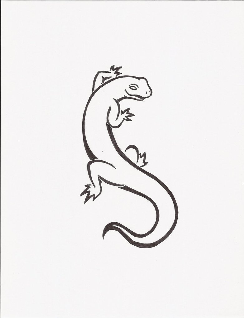 Salamander Picture Drawing