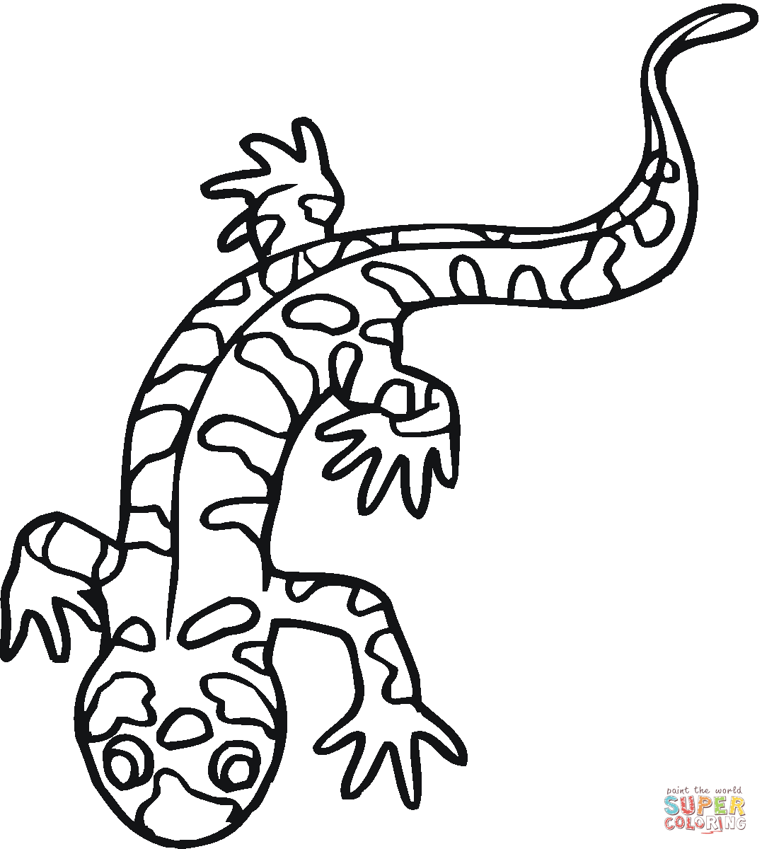 Salamander Realistic Drawing