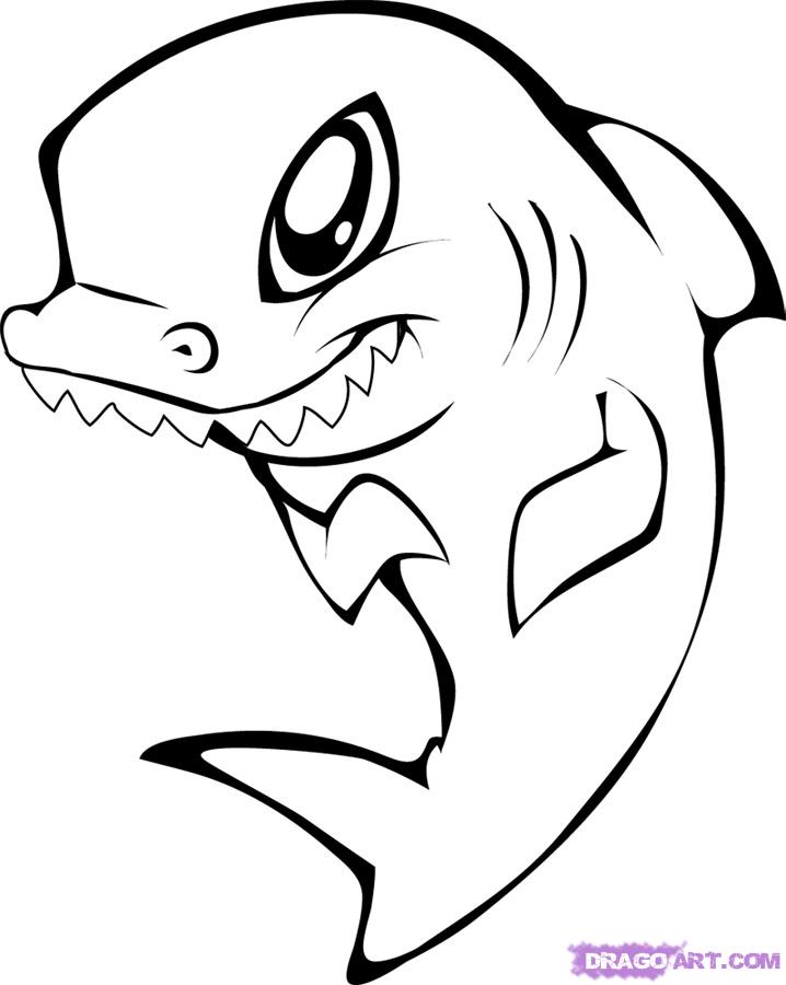 Shark Photo Drawing