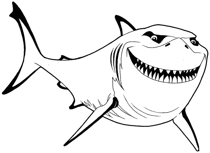Shark Realistic Drawing