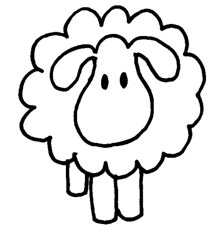Sheep Photo Drawing