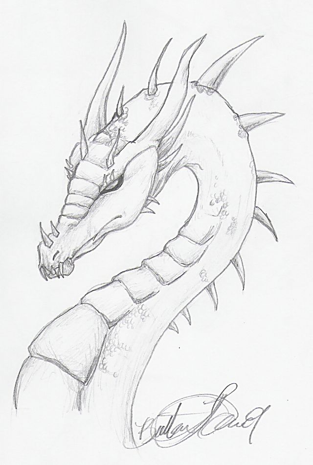 Skyrim Evil Dragon Image Drawing