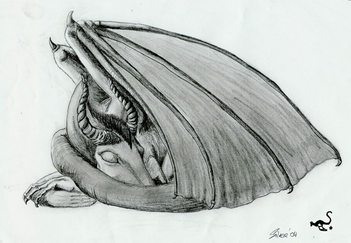 Sleeping Dragon Best Art