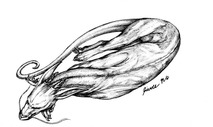 Sleeping Dragon Drawing