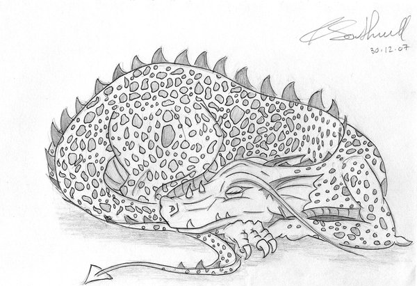 Sleeping Dragon Realistic Drawing