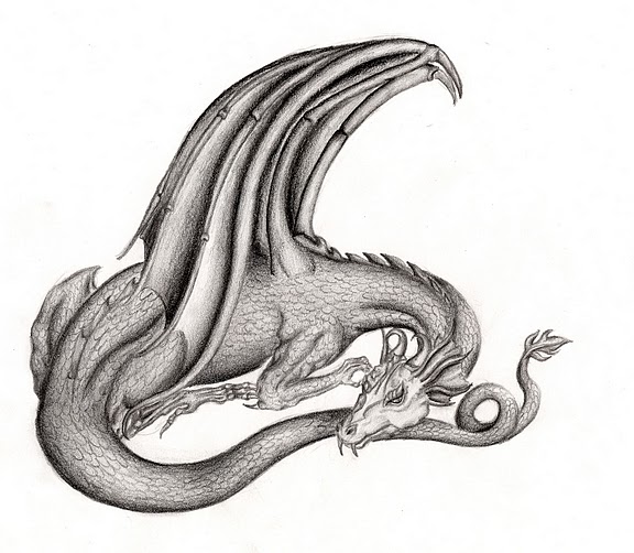 Sleeping Dragon Sketch