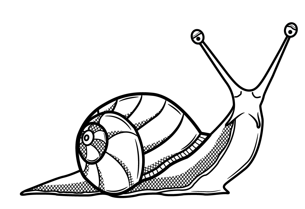Snail Drawing Pic