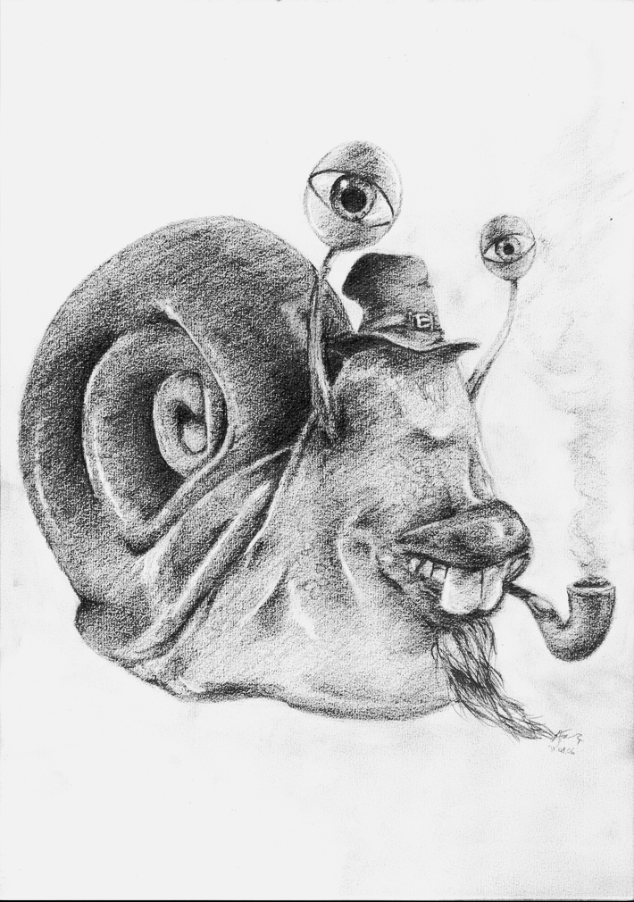 Snail Picture Drawing