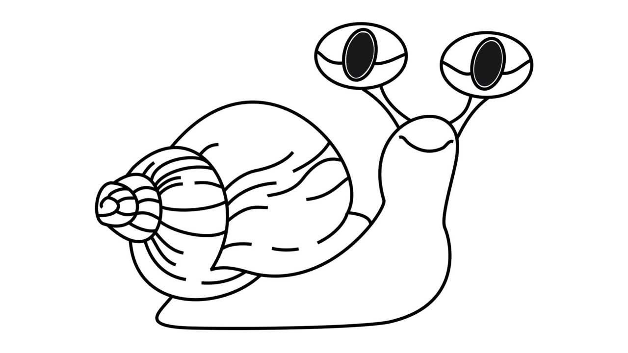 Snail Realistic Drawing