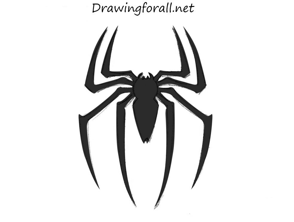 Spider Drawing Pic