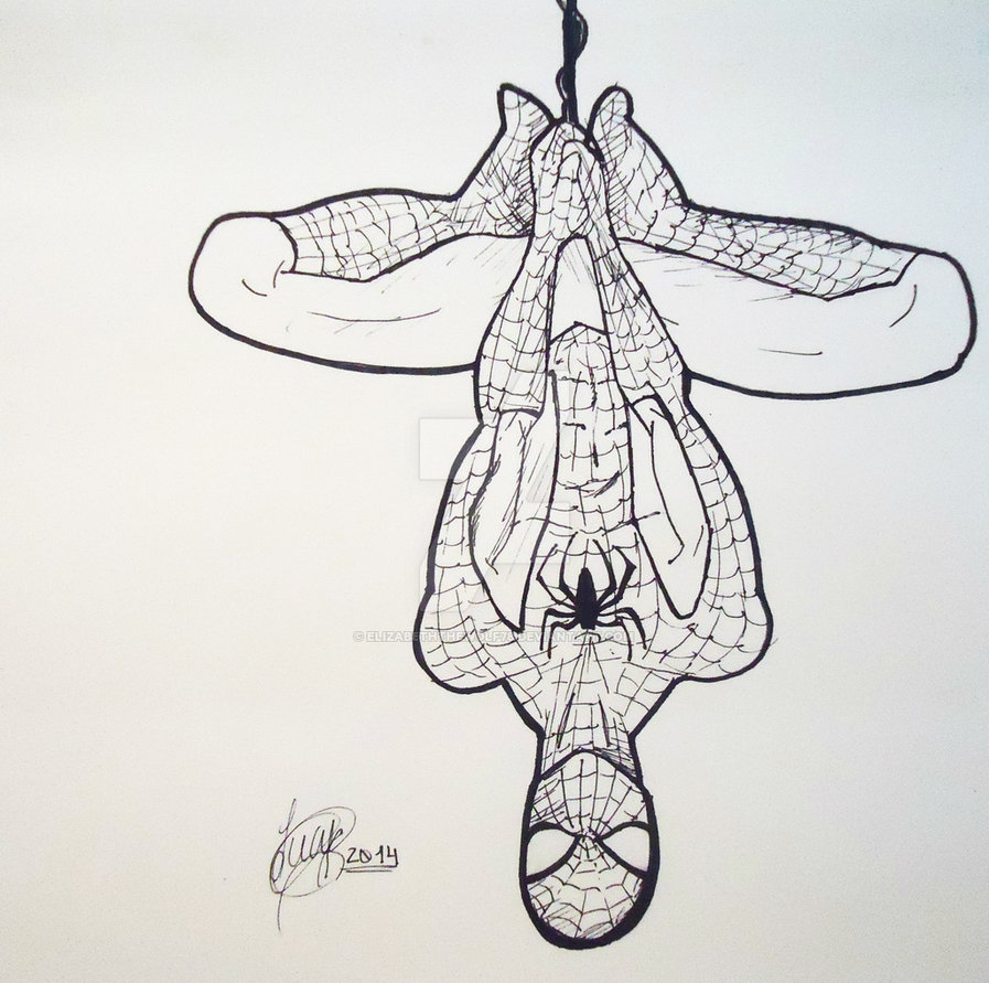 Spiderman Amazing Drawing