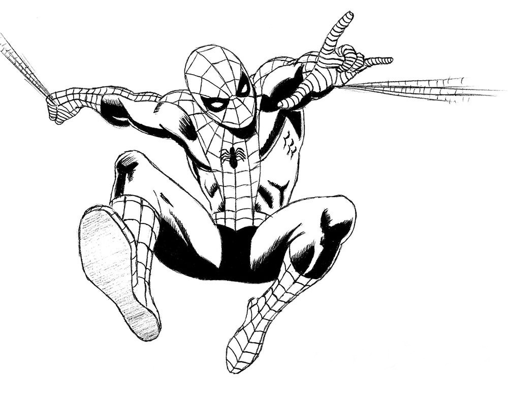 Spiderman Drawing Pic
