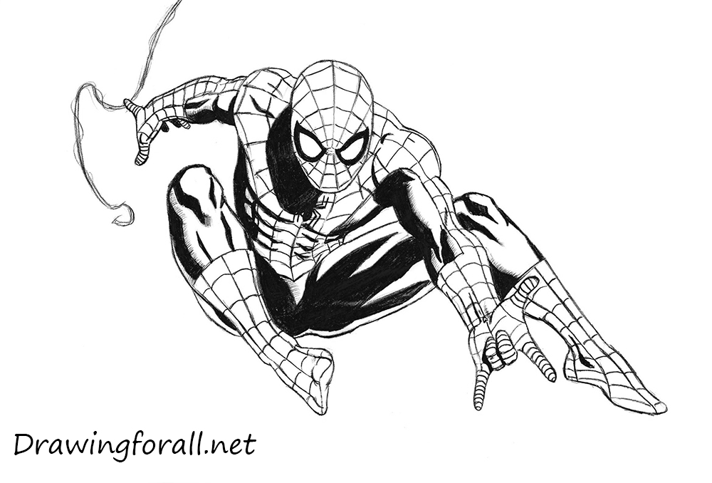 Spiderman Image Drawing