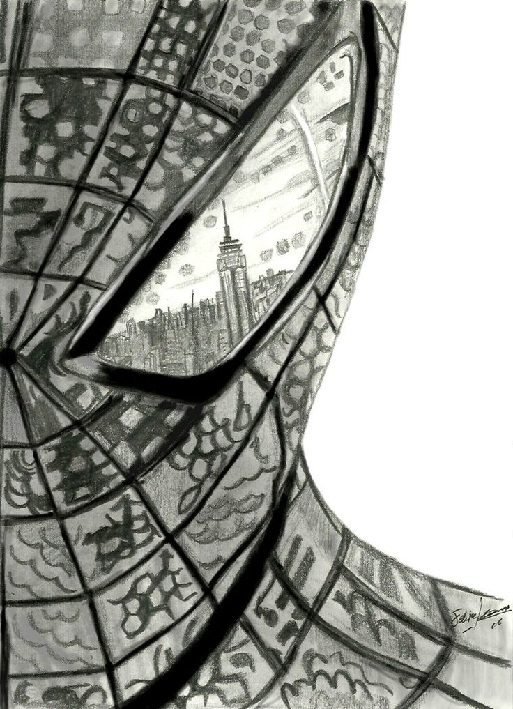 Spiderman Photo Drawing