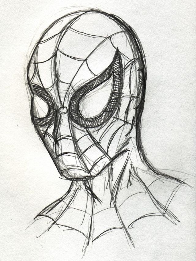 Spiderman Photo Drawing