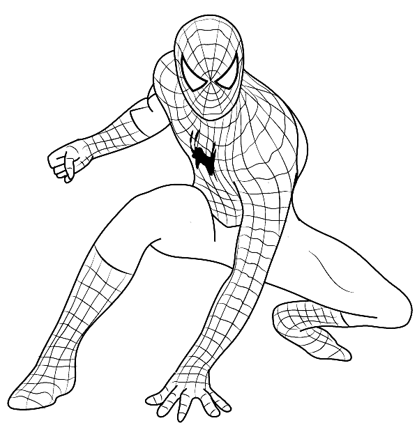 Spiderman Picture Drawing