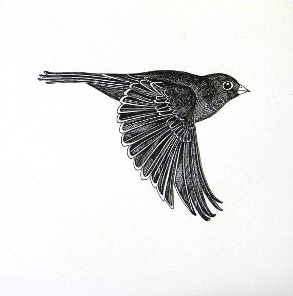 Swift Bird Art