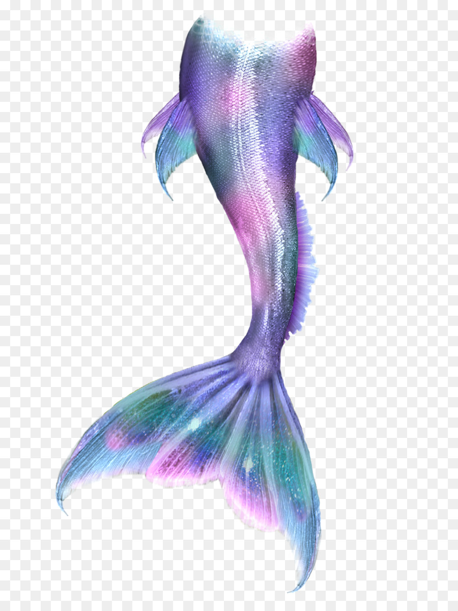Tailed Mermaid Sketch