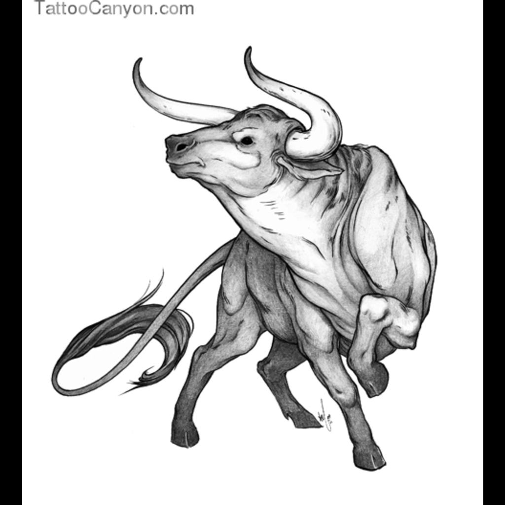 Taurus Pic Drawing