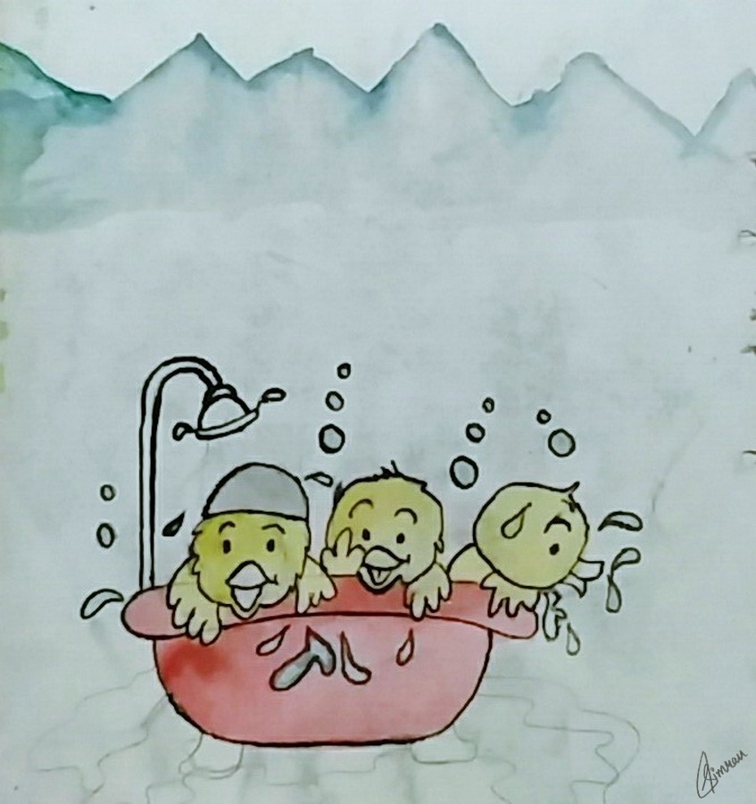 Three Cute Tweety Bathing In Tub Drawing