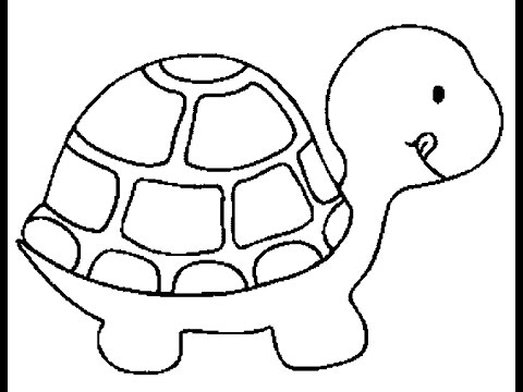 Turtle Amazing Drawing