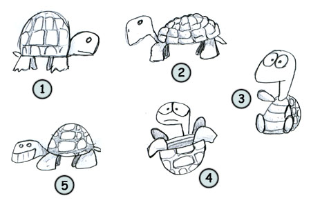 Turtle Sketch - Drawing Skill