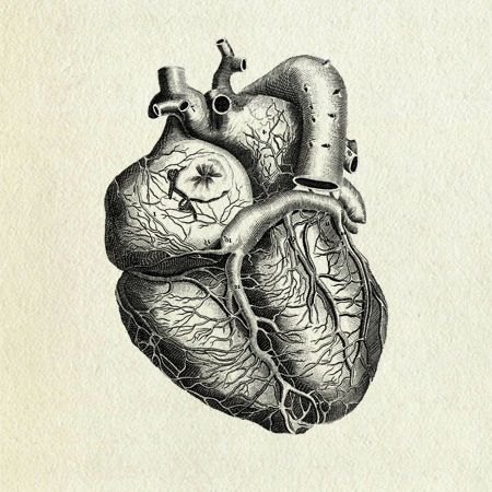 Vintage Heart Beautiful Image Drawing