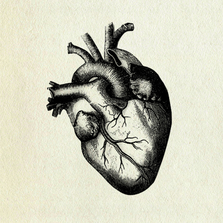 Vintage Heart Pic Drawing