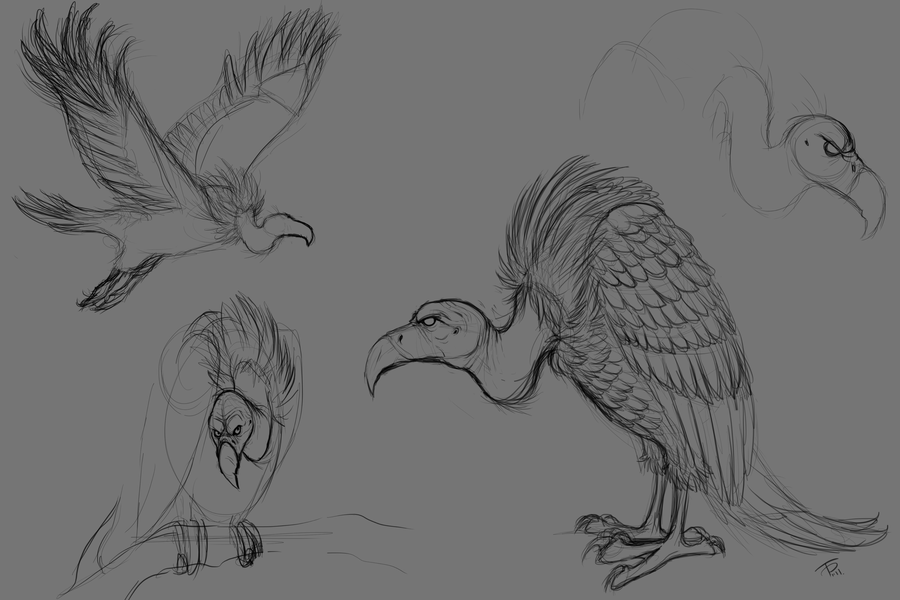 Vulture Best Art