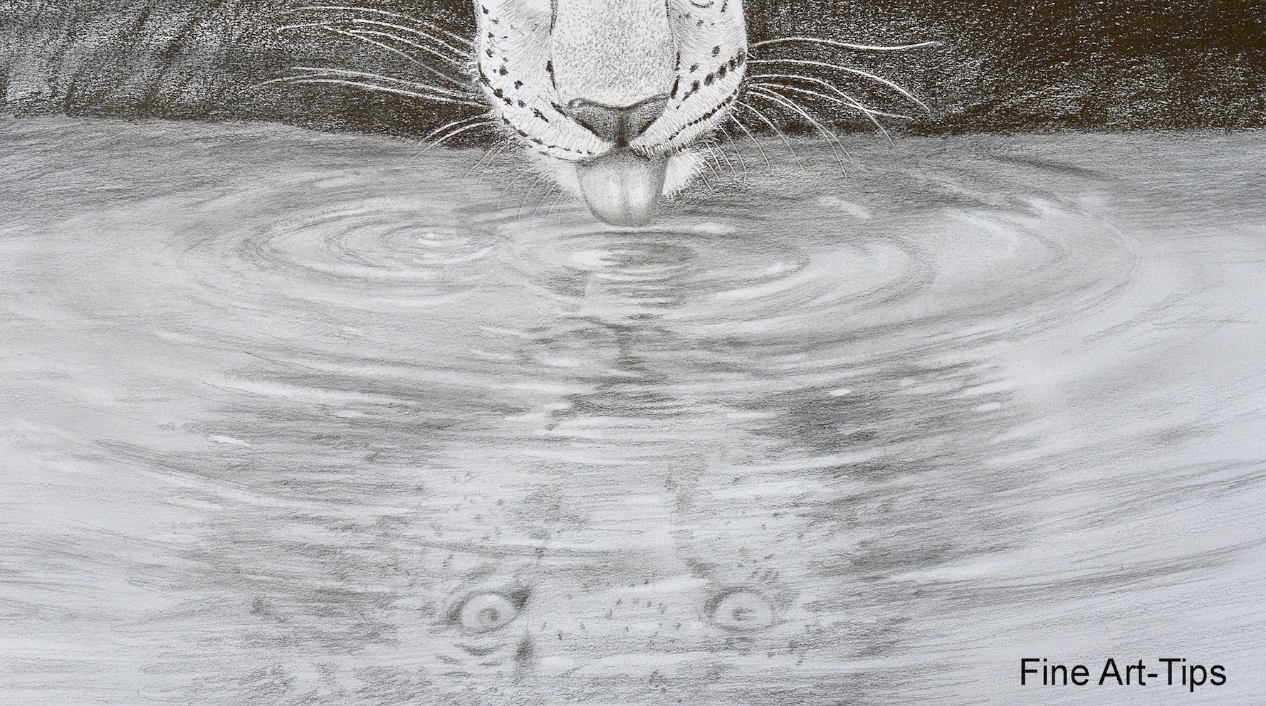 Water Pic Drawing