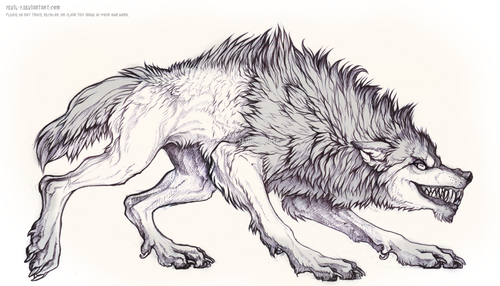 Werewolf Head Beautiful Image Drawing