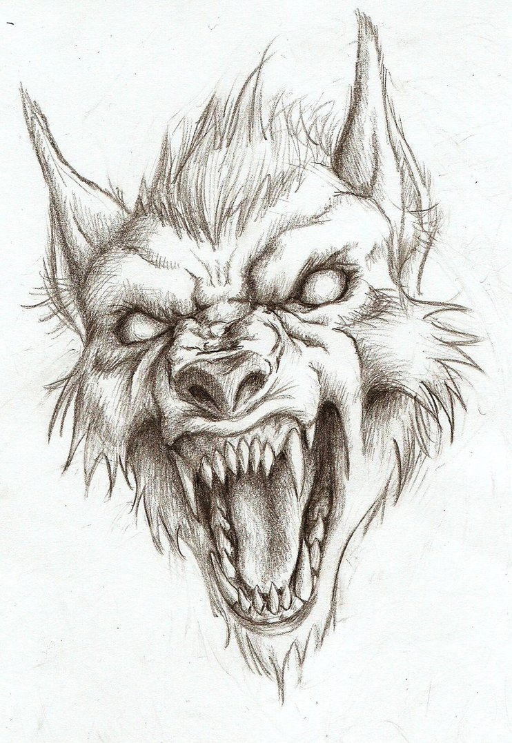 Werewolf Head Drawing Pic