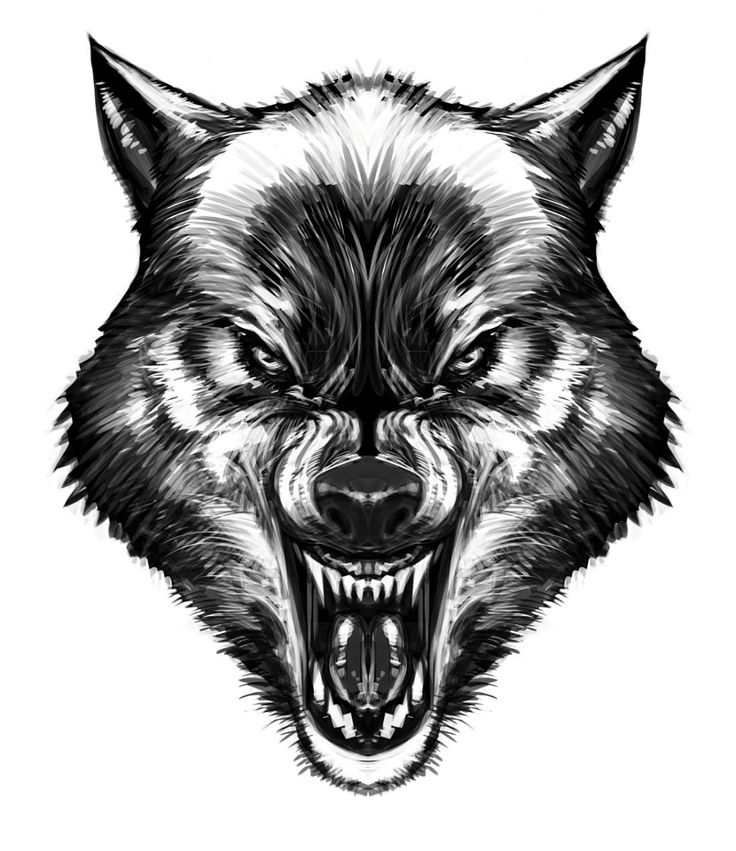 Werewolf Head Photo Drawing