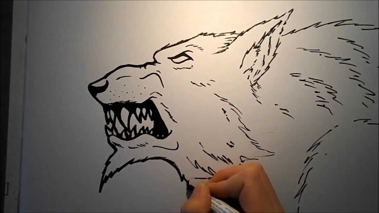 Werewolf Head Realistic Drawing