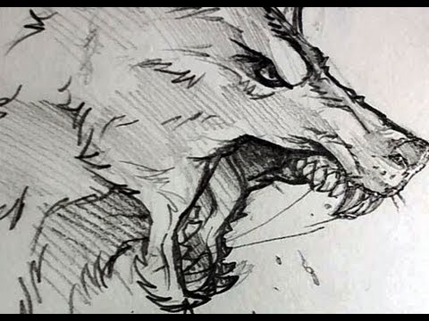 Werewolf Head Sketch