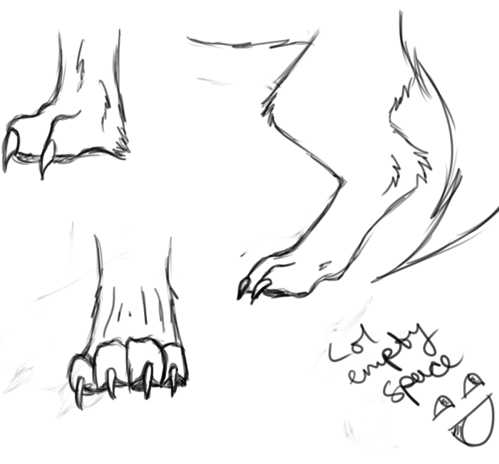 Wolf Paws Beautiful Image Drawing