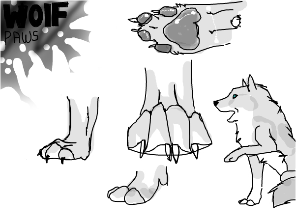 Wolf Paws High-Quality Drawing