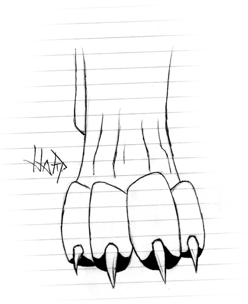 Wolf Paws Photo Drawing