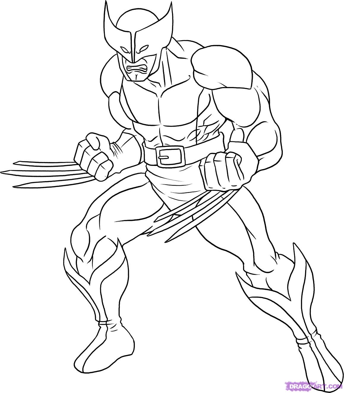 Wolverine Amazing Drawing