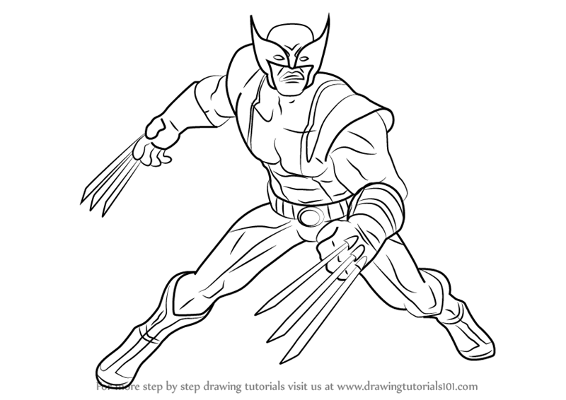 Wolverine Beautiful Image Drawing