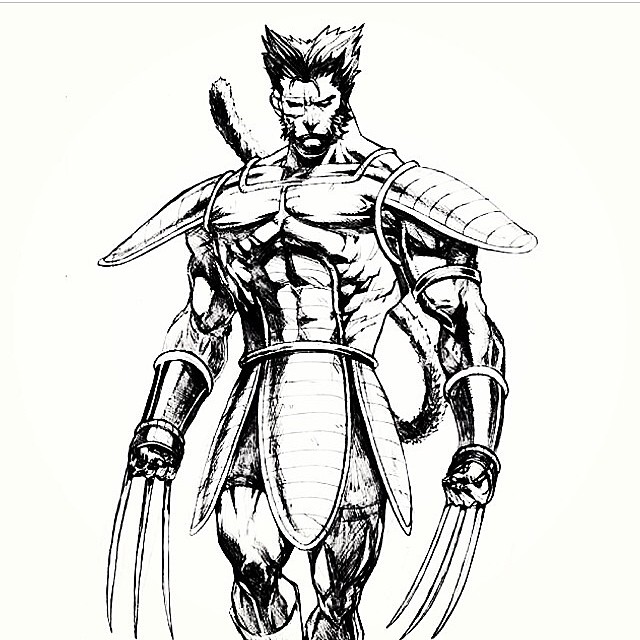 Wolverine Best Drawing