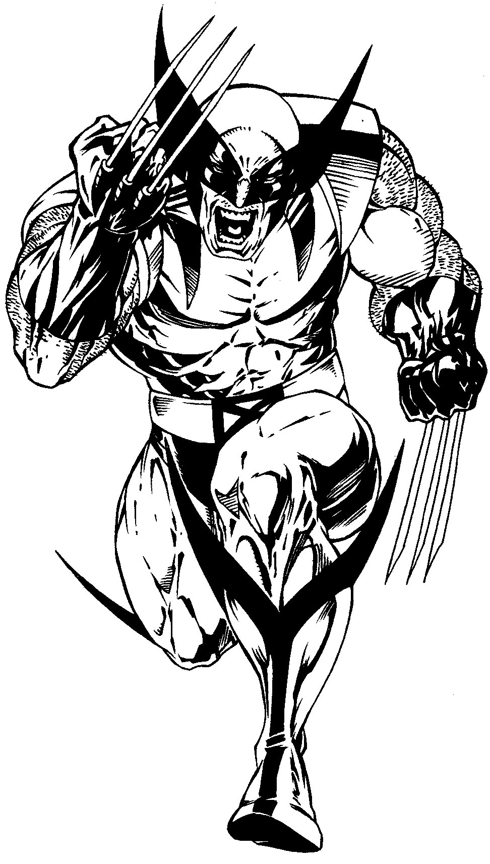 Wolverine Drawing Image